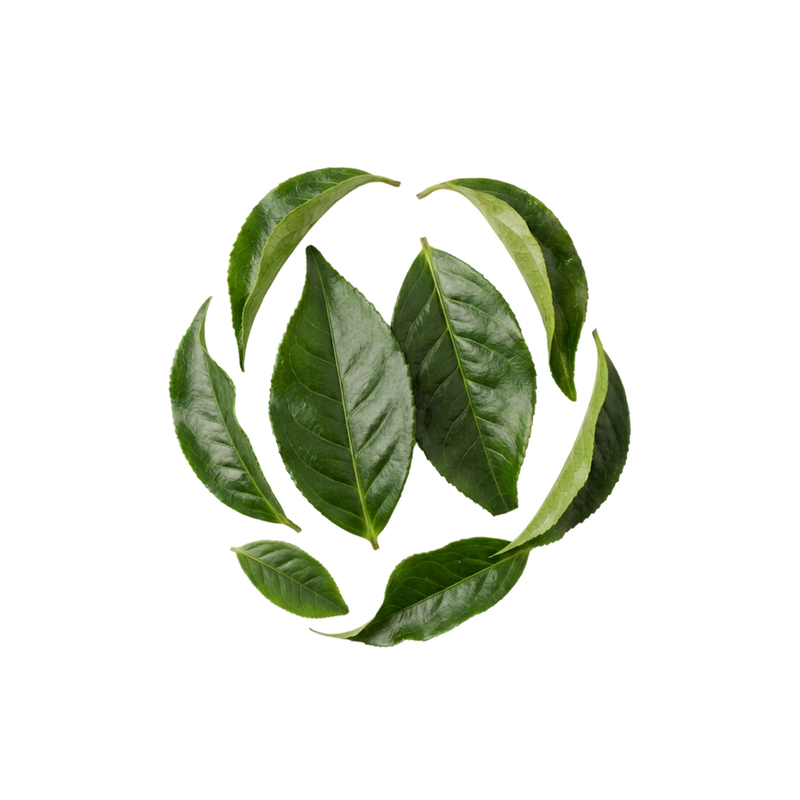 l-theanine